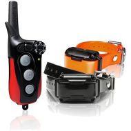 Dogtra Iq Plus 2-Dog Remote Trainer