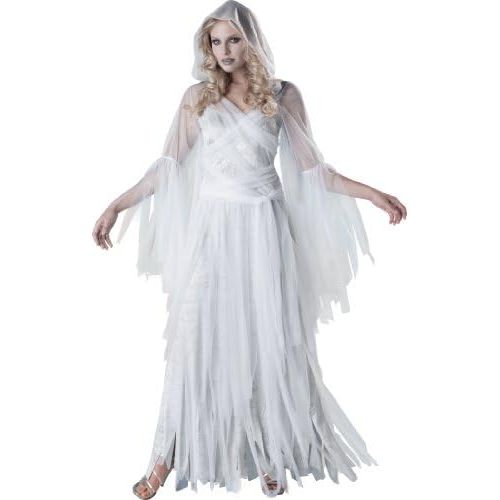  Fun World InCharacter Costumes Womens Haunting Beauty Ghost Costume