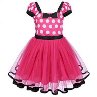 IBTOM CASTLE Toddlers Baby Girls Polka Dots Fancy Birthday Princess Party Cosplay Pageant Costume Tutu Dress Up Dance Skirt