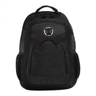 Marvel Black Panther Backpack Set -- Premium 18 Large Black Panther Backpack Featuring Logo, Durable Materials (Black Panther School Supplies)
