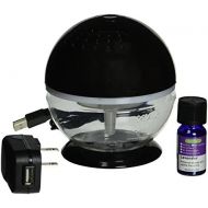 [아마존베스트]EcoGecko 75518-Black Little Squirt Air Deodorizer Humidifier, Black