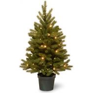 National Tree Company National Tree 3 Foot Feel Real Jersey Frasier Fir Entrance Tree with 35 Warm White Battery Operated LED Lights in Growers Pot (PEJF1-306-30-B)