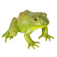 Safari Ltd Incredible Creatures American Bullfrog