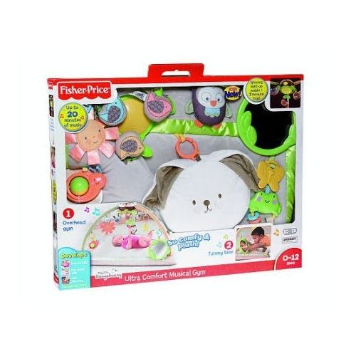 피셔프라이스 Fisher-Price Snugabunny Musical Gym