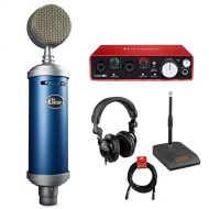 Blue Bluebird SL Large-Diaphragm Condenser Studio Microphone with Focusrite Scarlett 2i2 USB Audio Interface, Desktop Microphone Stand, Studio Headphones and XLR-XLR Cable