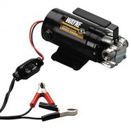 Wayne WAYNE PC1 Portable 12V Battery-Powered Water Transfer Pump With Suction Hose And Attachment