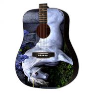 Skinnys Webworks Graphic Acoustic Guitar GIRLROCK CLASSIC Design