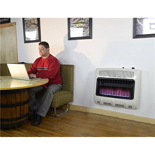  Mr. Heater 30,000 BTU Vent Free Blue Flame Natural Gas Heater MHVFB30NGT