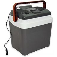 Koolatron 26 qt. Grab-and-Go Fun Plastic Cooler with Locking Flip-Up Handle in GreyWhite