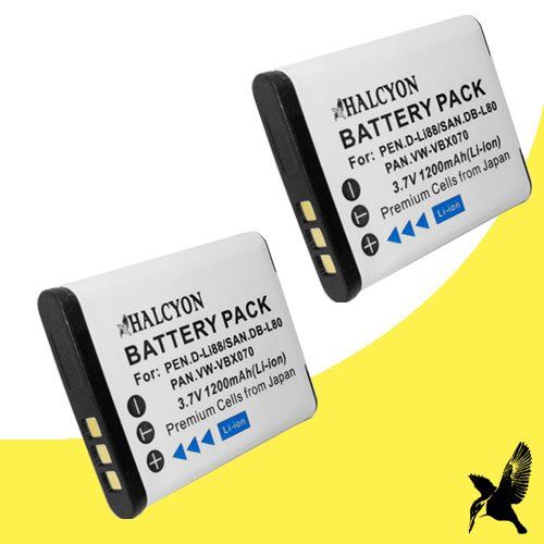  Two Halcyon 1200 mAH Lithium Ion Replacement Battery for Sanyo VPC-CG20 Dual Camera Digital Camcorder and Sanyo DB-L80