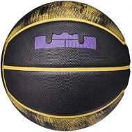 NIKE Lebron Playground Basketball Intermediate Size