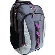 SwissGear Skyscraper Backpack with Laptop Compartment (Magenta)