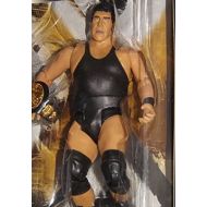 Jakks Pacific WWE Wrestling Classic Superstars Series 1 Andre the Giant Action Figure