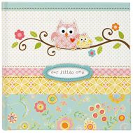 [아마존베스트]C.R. Gibson Owl Calendar Pink Baby Milestone Stickers, 11 W x 18 H