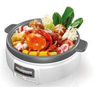 Electric Multi-Cooker Shabu Shabu hot pot by Narita