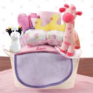 Capalbos Gift Baskets Welcome Home Baby Girl Starter Gift Basket