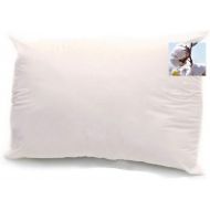 OrganicTextiles - Organic Cotton Pillow, Queen Size, Heavy Filled, All Organic Cotton inside and outside fabric.