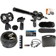 The Imaging World Professional Advanced Broadcast Microphone and accessories Kit for Canon EOS DSLR 5D Mark II III 6D 7D 7D II 77D 80D 70D 60D T6s T7i T6i T5i T4i T3i SL1 Cameras