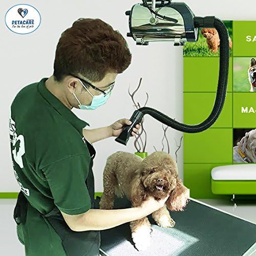  PETACARE Professional PET Wall Mounted Dryer with Smart LED Screen. Super Powerful Dog Grooming Blower, Not Vibrating and Never Get Rust, Suitable for Private and Business use. Who