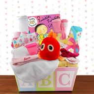 Capalbos Gift Baskets Welcome Home Baby Girl Medium Gift Basket