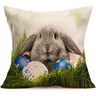 Kissenbezug 43 x 43 cm Tier Kaninchen Eier Ostern Sofa Taille Bett Home Decor Festival Kissenhuelle LuckyGirls (C)
