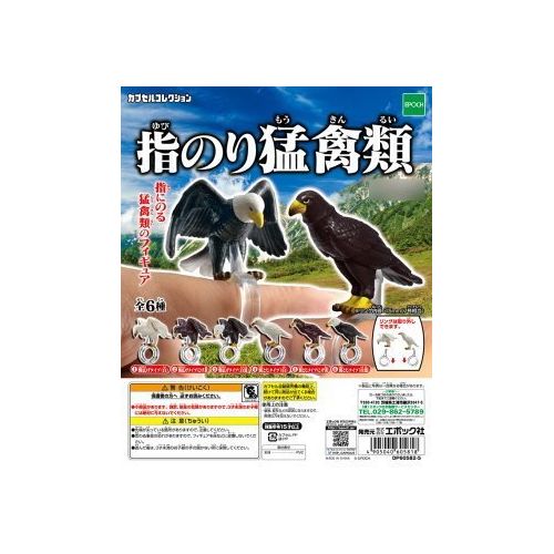 Epoch Finger glue raptors [2. wings spread type (dark brown) (single)