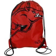 Forever Collectibles NCAA 2013 Collegiate Team Logo Drawstring Backpack - Pick Team!