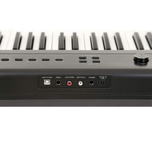  Artesia 88-Key Portable Keyboard, Single (Performer)