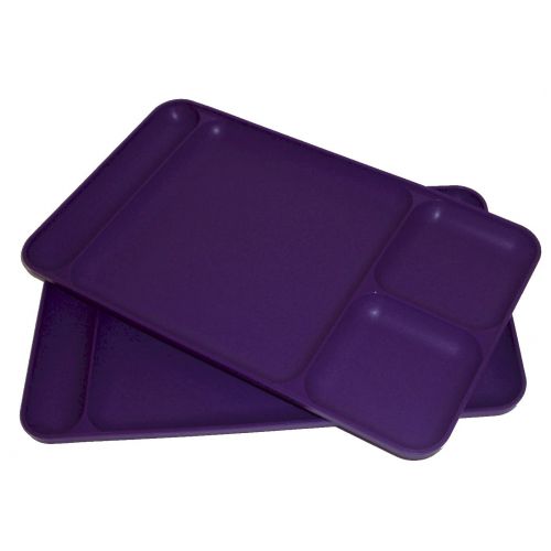  Tupperware Divided Dining TV Trays Picnic Kids Lunch Plates Grape Purple