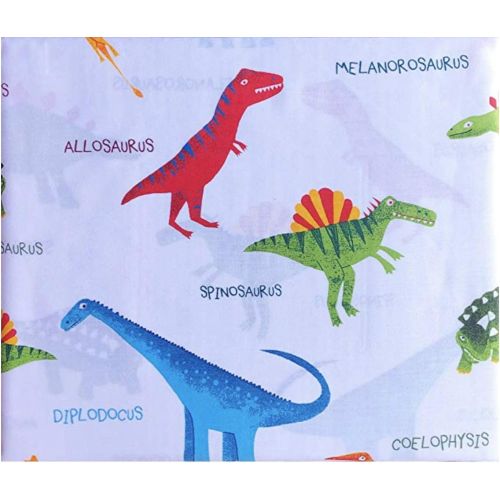  Boy Zone 3pc Dinosaur Twin Sheet Set Colorful Dinos with Names Red Green Blue on White Cotton