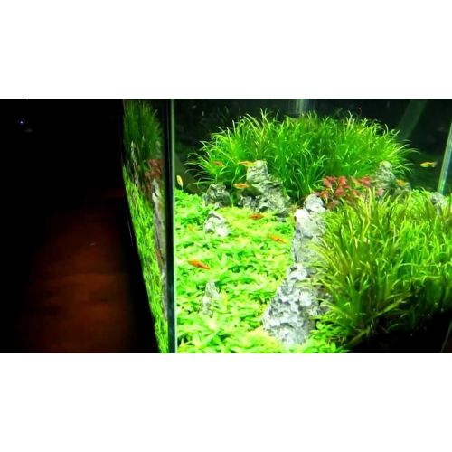  Finnex FugeRay Planted+ Aquarium LED Light Plus Moonlights