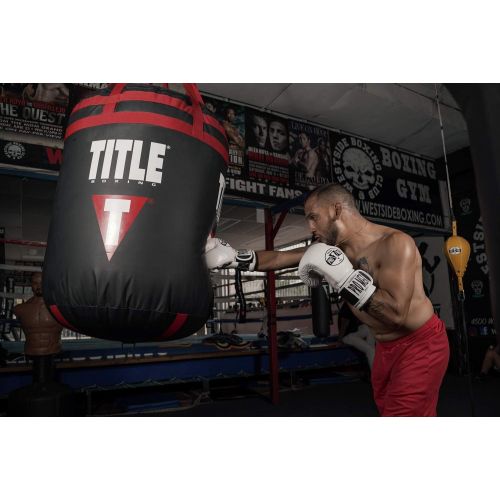  Title Boxing Pro Mex Professional Training Gloves V2.0