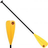 Werner Vibe 3-Piece Adjustable Stand-Up Paddle