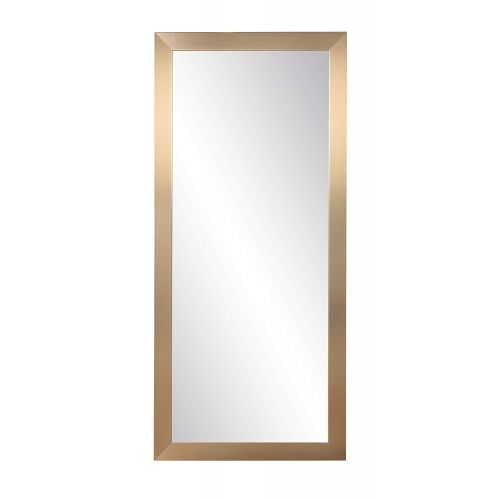  BrandtWorks, LLC Contemporary Champagne Floor Mirror, 26.5 x 65.5,