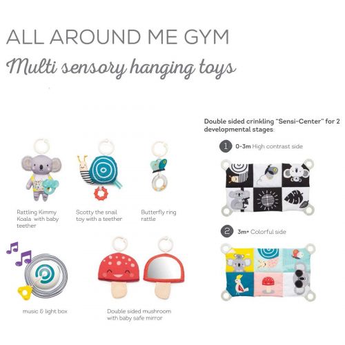  Visit the Taf Toys Store Taf Toys 4 in 1 Music and Light All Around Me Baby Activity Gym Thickly Padded with Soft Mat and a Unique “Sensi-Center” for a Variety of Body Positioning for Newborn and Up