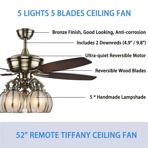  Andersonlight Indoor Ceiling Fan With 5 Light, 52-Inch 5 Blades, Oil Rubbed Bronze Finish FS071