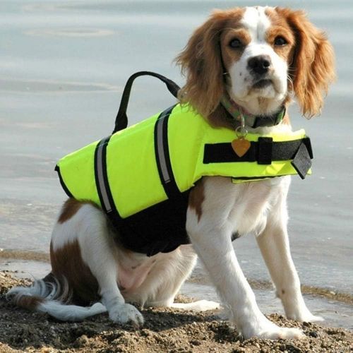  MLADEN Dog Life Jacket Pet Swimming Vest,Dog Float Coat with Reflective Strips Pet Preserver Suitable for Swimming,Hunting,Boating