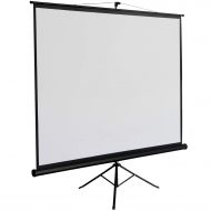 FDInspiration Portable 82 x 66 Projection Screen Projector Stand wTripod Legs with Ebook
