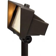 Hinkley Lighting 1521BZ T4 Flood Light with Frosted Lens 50 Watt Maximum, Bronze