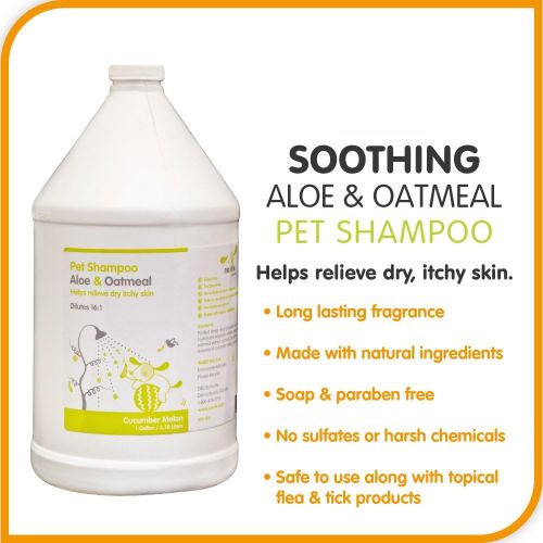  Nootie Soothing Aloe and Oatmeal Pet Shampoo, Cucumber Melon