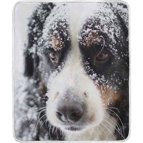  KEEPDIY Christmas Bernese Mountain Dog Blanket-Warm,Lightweight,Soft,Pet-Friendly,Throw for Home Bed,Sofa &Dorm 60 x 50 Inch