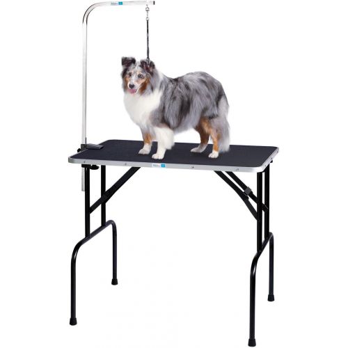  Master Equipment Grooming Table with Arm
