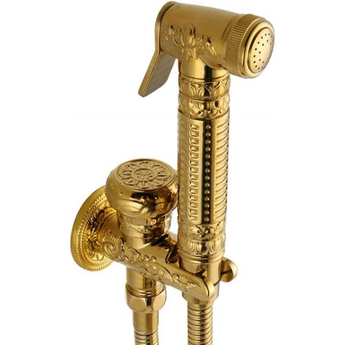  Perfk perfk Handheld Spirizpistole mit Hochdruckreinigung Deisgn fuer Haus Buero Hotel und andere Orte, aus Kupfer - Golden