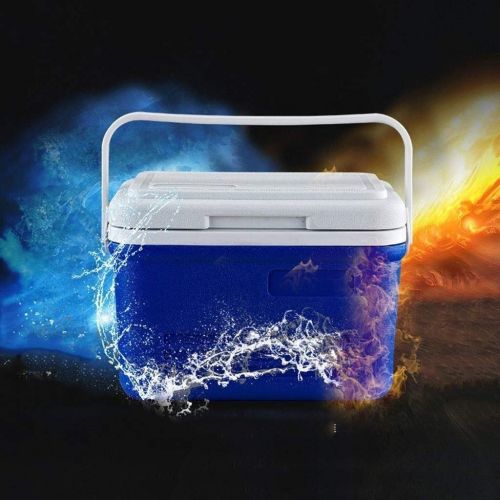  Cooler Box Car Load Outdoor Camping for Lunch - Food Delivery - Easy to Carry Blue