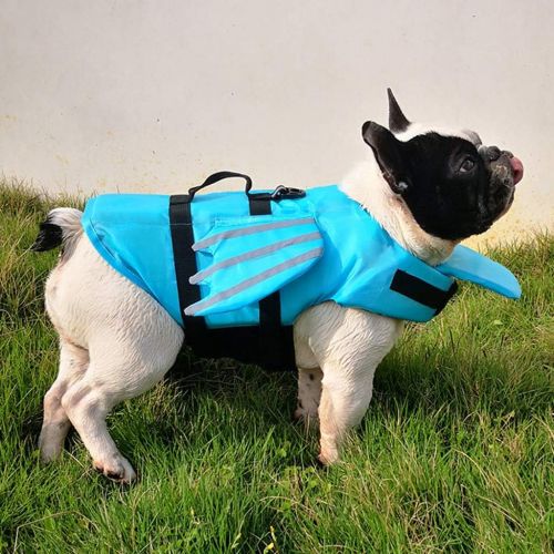  Pathside Dog Life Jacket Adjust Outdoor Wings Swimwear pet Shirt (S, Blue)