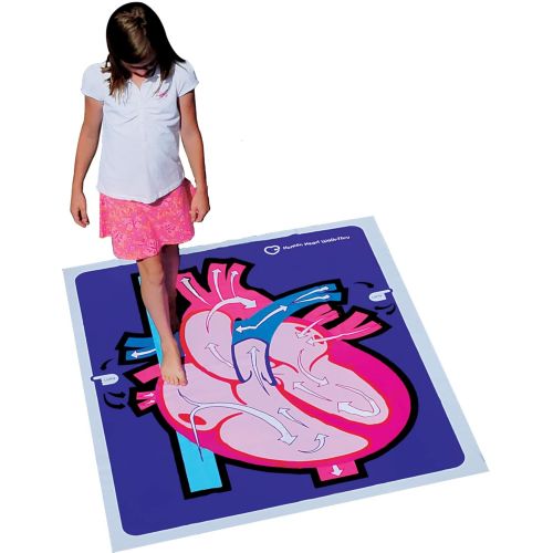 American Educational Products American Educational Human Heart Walk-Thru Mat, 60 Length x 50 Width