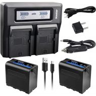 Kastar 2 Pack Battery and LCD Dual Fast Charger for Sony NP-F980 Pro NP-F970 HDR-AX2000 HDR-FX1 HDR-FX1000 HDR-FX1000E HDR-FX7 HDR-FX7E HVL-20DW HVL-20DW2 HVL-LBPA HVL-ML20