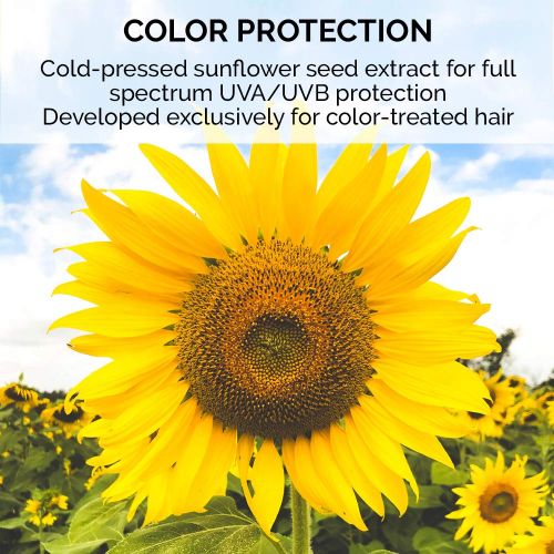  ColorProof Color Care Authority SignatureBlonde Violet Shampoo