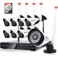 CANAVIS Wireless Surveillance Camera System with 2TB Hard Drive, 1080P HDMI NVR 8CH 1080p HD Wireless Cameras, Night Vision, Motion Detection, Manual Record or Motion Record CCTV S