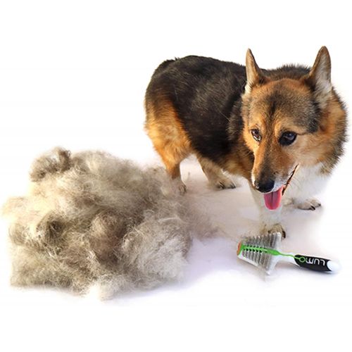  LUMO Ridgeback - Revolutionary Grooming Tool - Short Haired Pets